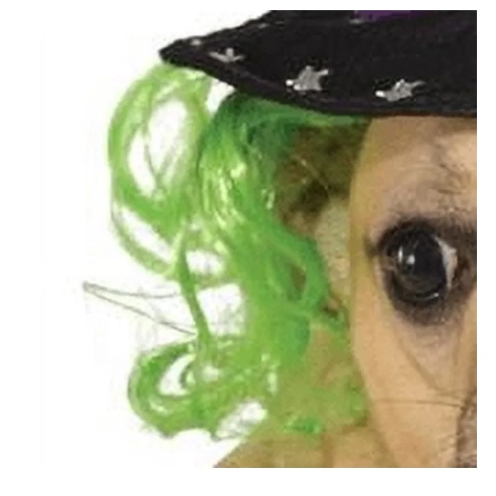 Pet Halloween Costume Accessory Purple Witch Hat For Dog or Cat